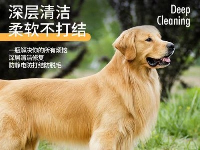 拉布拉多的沐浴露选择（为你的拉布拉多选择最适合的沐浴露）