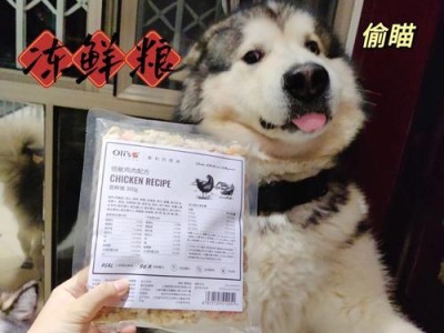 十个月阿拉斯加吃什么药？（了解阿拉斯加犬的健康需求和常用药品）