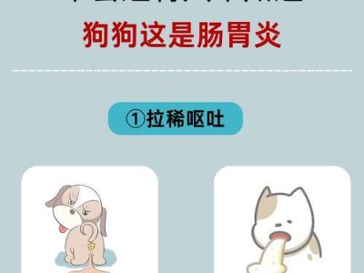 狗的肠胃炎症状解析（了解狗肠胃炎的症状与处理方法）