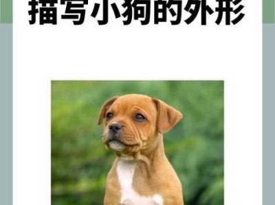狗的鼻子形状（探索狗的鼻子形状与其他动物的惊人相似性）