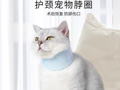 解密狗狗项圈中的秘密（揭开狗狗项圈背后的奥秘）