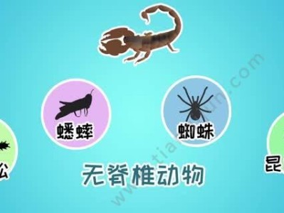 以岩松鼠的食物为主题的生态研究（岩松鼠的食性及其对生态系统的影响）