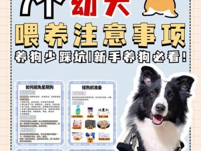 40天幼犬的饮食需求（幼犬喂食技巧与注意事项）