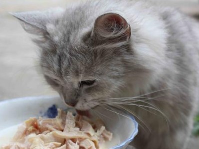 如何计算猫咪的食量？（掌握食量计算公式，让猫咪健康饮食）
