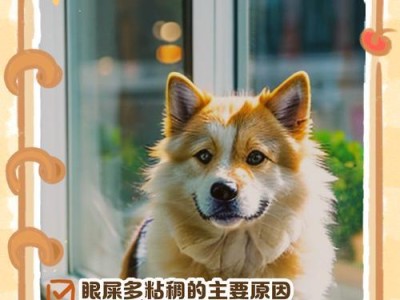狗狗眼屎如何处理？（原因分析及有效解决方法）