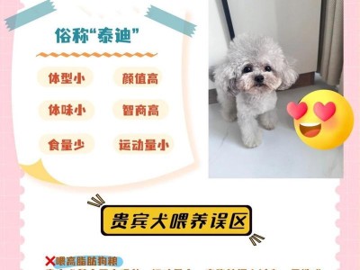 如何科学喂养泰迪犬贵宾（贵宾狗的饮食搭配与喂养技巧）