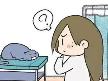 为什么拒绝给猫狗选择上门绝育？（拒绝上门绝育的重要原因及影响）
