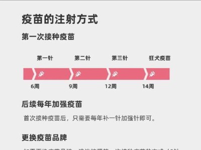 狗狗回国所需疫苗及注意事项（确保宠物健康的关键是合理接种疫苗）