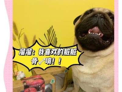 狗吃骨头（揭秘狗狗消化骨头的奥秘，了解消化时间与对健康的影响）