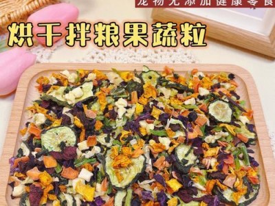 宠物狗可以吃哪些菜？（为你的爱犬提供健康饮食，）