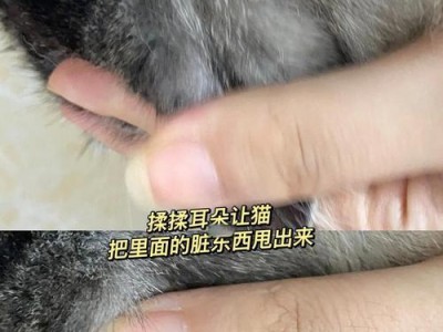 小猫耳朵清洁的注意事项（小猫耳朵清洁频率和方法的指南）