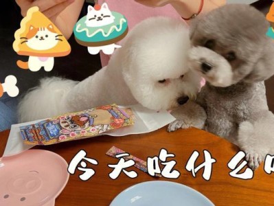 狗下完崽后的喂养指南（了解喂养狗崽的最佳方法及注意事项）