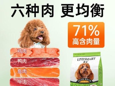 三个月泰迪的饮食指南（了解三个月泰迪的适宜食物及禁忌）