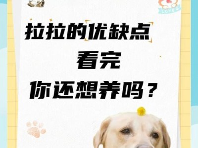 正确投喂拉布拉多的关键注意事项（保持营养均衡与合理食量，让拉布拉多健康成长）