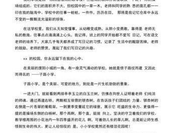 养龟的九个技巧（让龟宠健康快乐的秘诀）