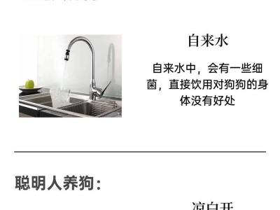 选择合适的人士来养狗（寻找最佳狗主人的关键标准）