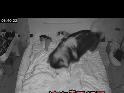 狗拉稀会导致死亡吗？（狗拉稀的危害与预防方法）