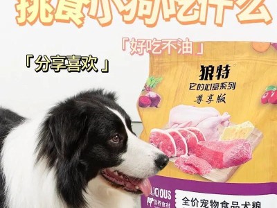 狗狗手术后的饮食需求（为什么要注意狗狗手术后的饮食？）