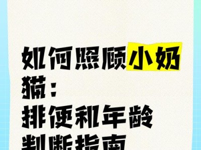幼猫的排便习惯与时间表（幼猫在何时开始拉屎？-幼猫、排便、时间表）