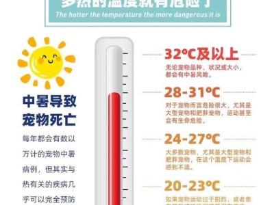 狗狗中暑了怎么办？（预防和处理狗狗中暑，让宠物更安全）