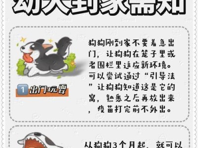 狗狗打完疫苗后的护理要点（确保狗狗的健康与安全，）