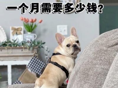 如何正确喂养刚出生的法斗？（细心照料，健康成长）