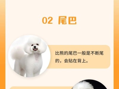 贵宾犬的多样体型展示（探索贵宾犬世界的体型之谜）
