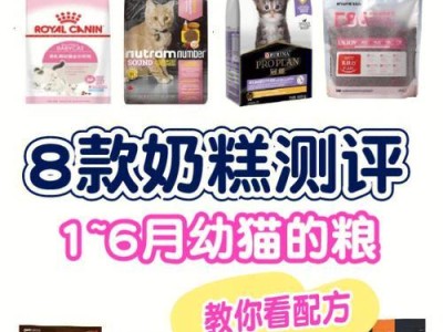 4个月的幼猫一天需要摄入多少猫粮？（养猫人士必读的饮食指南，助你宠爱你的小猫咪）