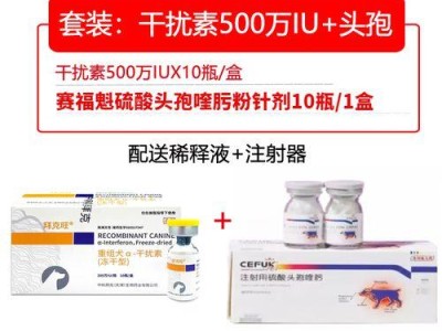 治疗犬瘟的好药推荐（探索有效治疗犬瘟的药物选择与方法）