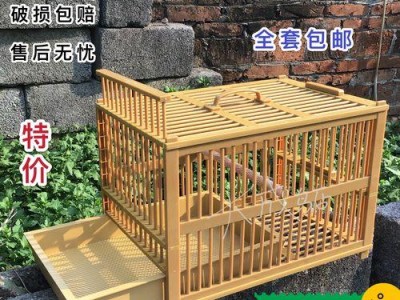 画眉后多久洗澡最合适（科学指导，帮你掌握最佳时间）