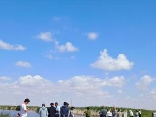 草原田鼠的饲养方法（打造高效、健康的田鼠养殖）