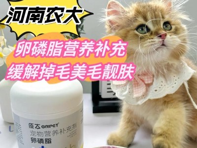 解析猫咪毛打结的原因与解决方法（探寻猫咪毛打结问题背后的秘密，让你的猫咪摆脱烦恼）