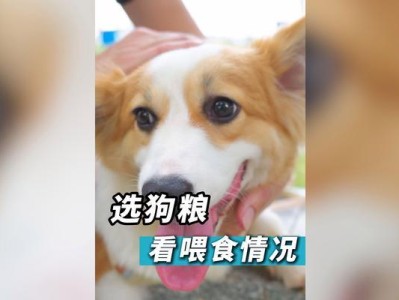 如何选择适合的狗粮？（市面上狗粮种类繁多，如何做出明智的选择？）