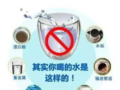 比熊犬喝水的注意事项（养护你的比熊犬，关注它的饮水习惯）