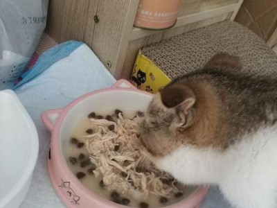 为小猫健康成长，学会正确蒸鸡胸肉给它吃！（如何正确蒸鸡胸肉满足小猫的营养需求）