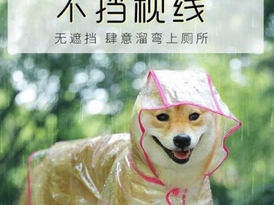 狗狗淋雨了，如何保护它？（教你如何应对突发天气变化，让爱宠更安心）