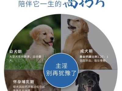 阿拉斯加缺钙问题及补钙方法（探索阿拉斯加需要补钙的原因和补钙的最佳时间）