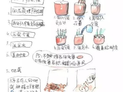 捷克梗饲养指南——培养快乐、健康的梗犬生活（专业的饲养建议、让你的捷克梗成为你的好伙伴）
