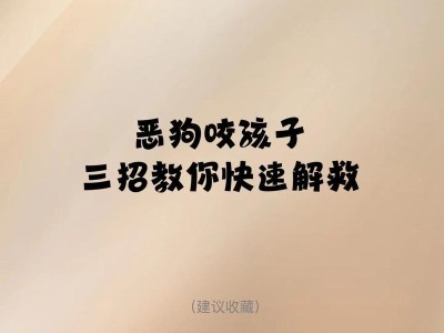 不会咬人的狗品种大全（了解这些狗品种，找到最适合的宠物伙伴）