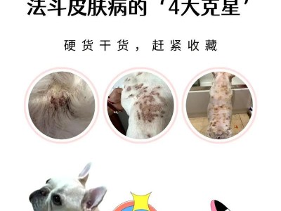 如何在狗狗皮肤病期间通过饮食补身体（以什么食物为狗狗提供维生素和营养？）