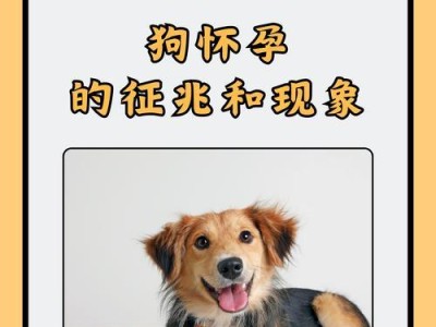 母狗配种后多久能怀上的时间周期研究（从配种到受孕的时间长度与关键因素解析）