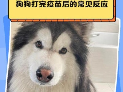 狗狗疫苗接种后可以洗澡的最佳时间（打完疫苗后的洗澡时间、洗澡注意事项及影响狗狗健康的关键因素）