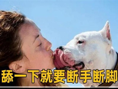 狗舔我是什么意思？（解读狗舔行为的含义及原因）