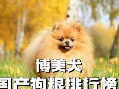 三个月博美的科学喂养方法（合理控制狗粮摄入量）