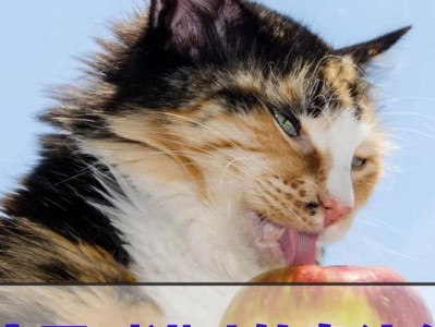 小猫饮食宝典（宠物猫的健康饮食指南）