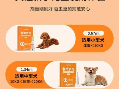 宠物犬驱虫的时间间隔及注意事项（宠物犬体内驱虫周期和保健要点）