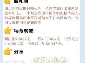如何解决4个月大比熊不爱吃饭的问题（探索比熊饮食偏好，帮助您解决喂养困扰）