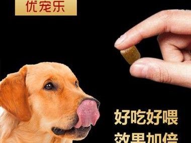 四个月德牧幼犬该如何选择适合的钙片？（如何确保德牧幼犬在四个月时获得充足的钙质补充？）