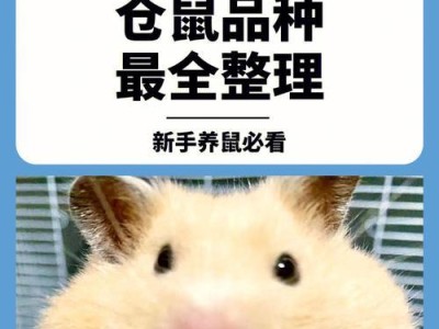 养仓鼠的最佳软件选择（通过使用合适的软件提升养仓鼠的体验）
