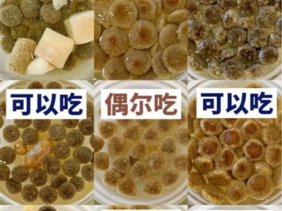喂食幼犬狗粮一天只能喂50粒？解密真相！（低血糖风险和后悔药究竟可信吗？宠物主人必读！）